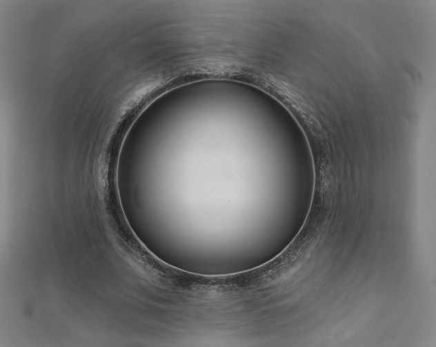 X0000112480679200908171220