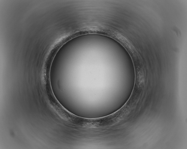 X0000112480680200908171220