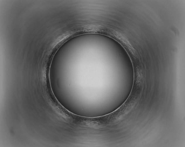 X0000112480681200908171220