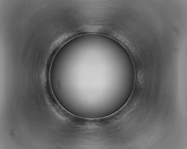 X0000112480682200908171220
