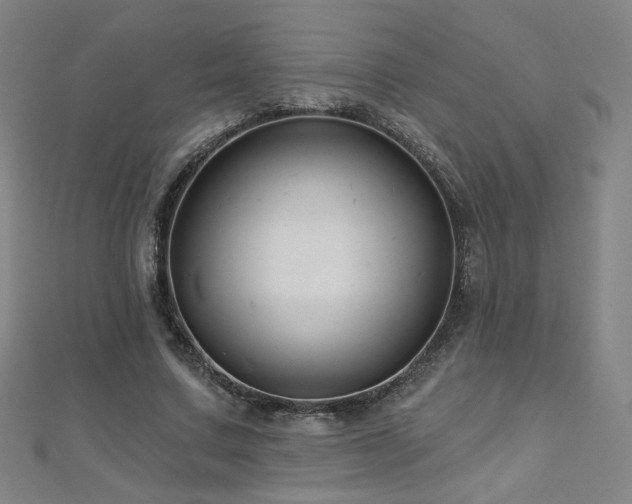 X0000112480683200908171220