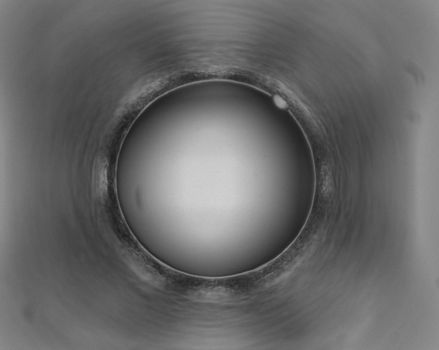 X0000112480685200908171220