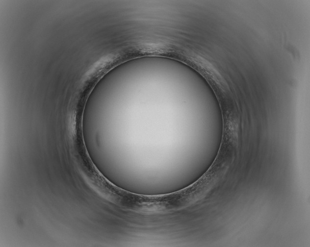 X0000112480686200908171220