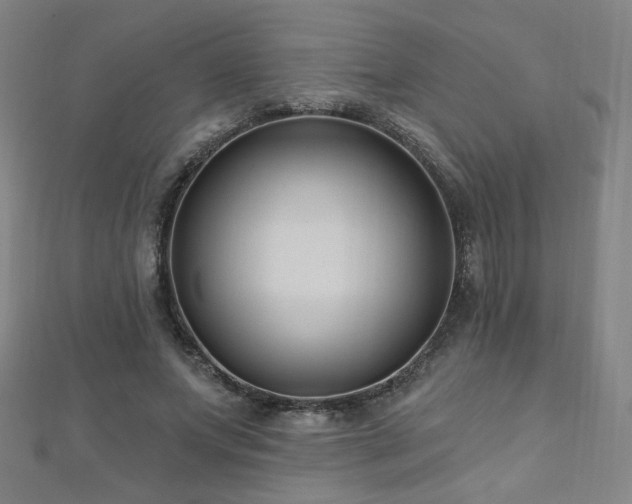 X0000112480687200908171220