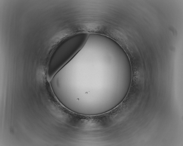 X0000112480688200908171220
