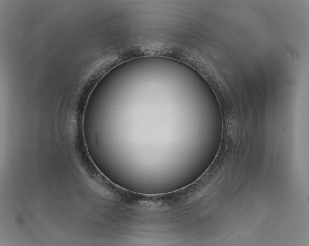 X0000112480690200908171220