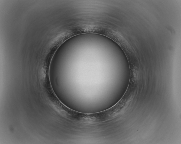 X0000112480691200908171220