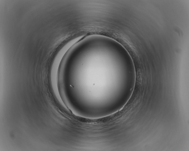 X0000112480692200908171220