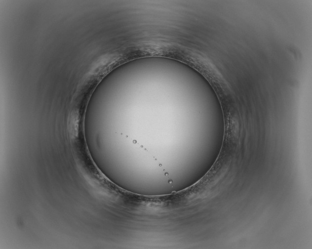 X0000112480694200908171220
