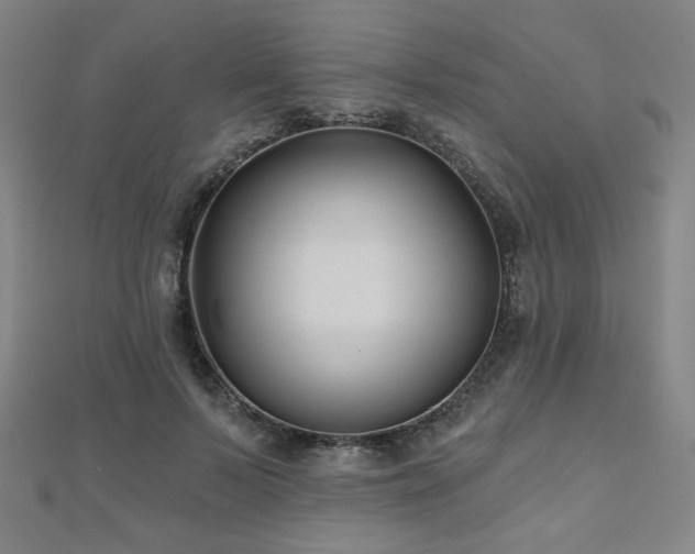 X0000112480695200908171220