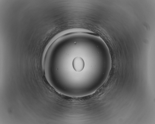 X0000112480697200908171220