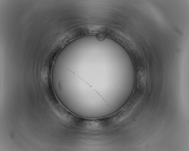 X0000112480698200908171220