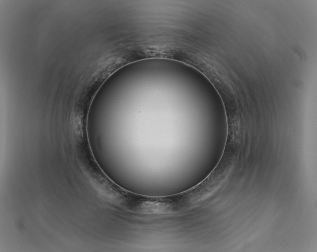 X0000112480699200908171220