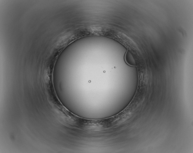 X0000112480702200908171220