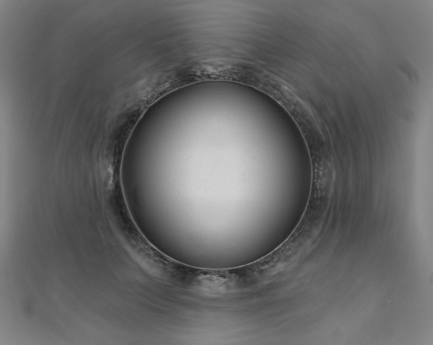 X0000112480703200908171220