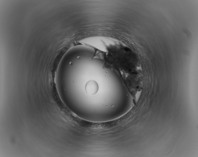 X0000112480704200908171220