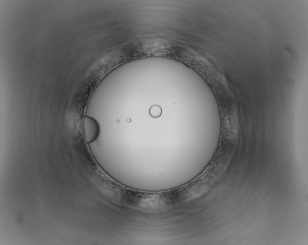 X0000112480705200908171220