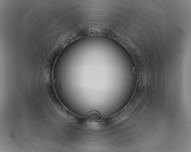 X0000112480706200908171220
