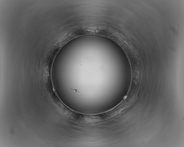 X0000112480707200908171220