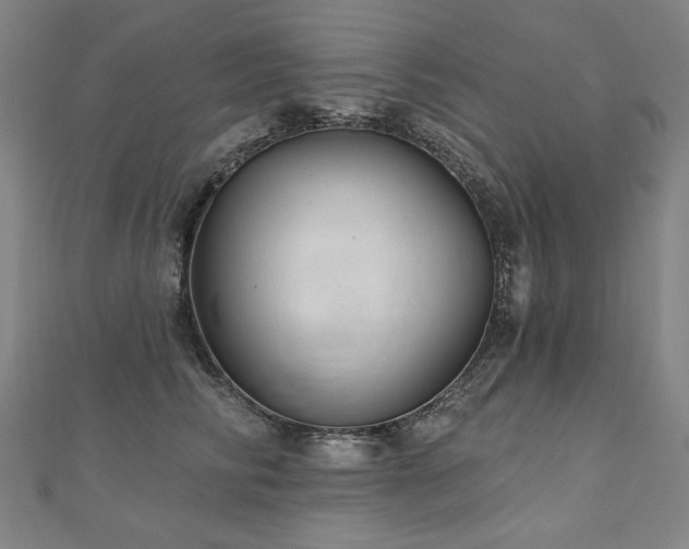 X0000112480710200908171220