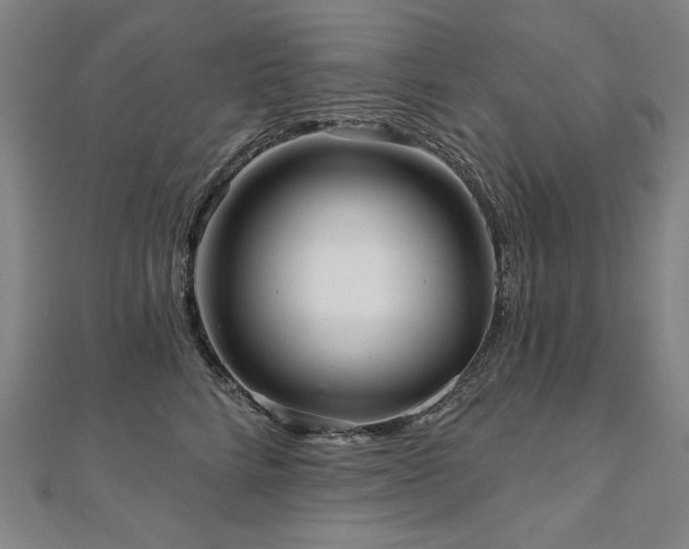 X0000112480712200908171220