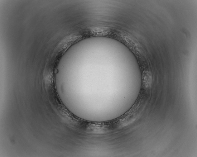 X0000112480713200908171220