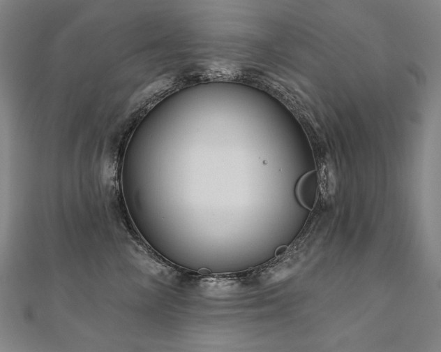X0000112480714200908171220