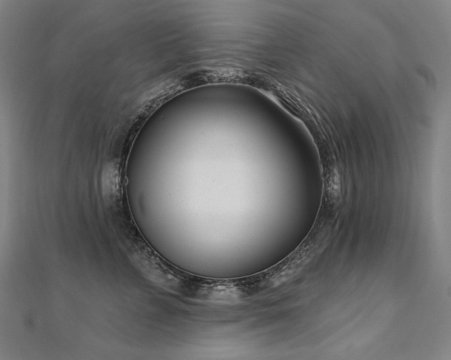 X0000112480715200908171220