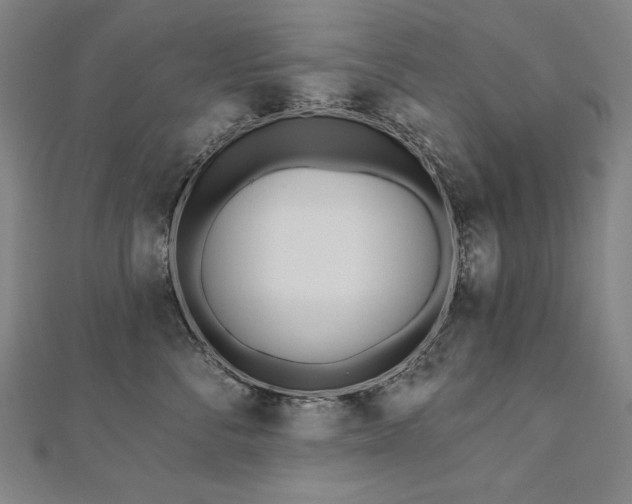 X0000112480716200908171220