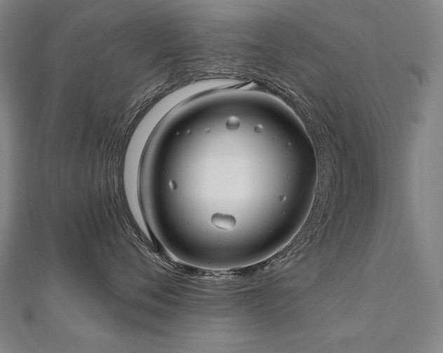 X0000112480720200908171219