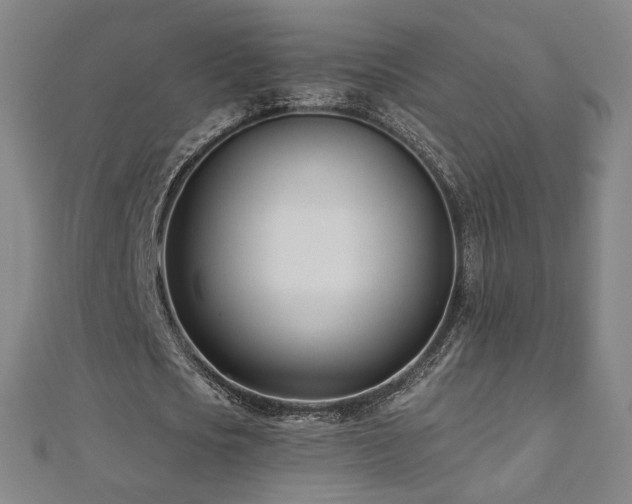 X0000112480721200908171219