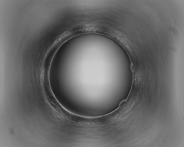 X0000112480722200908171219