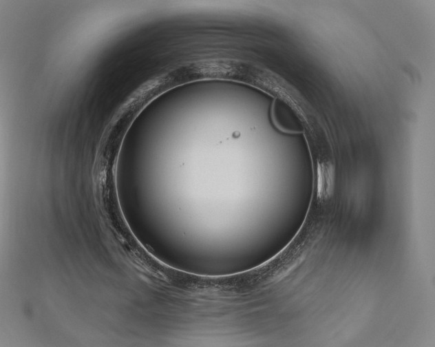 X0000112480723200908171219