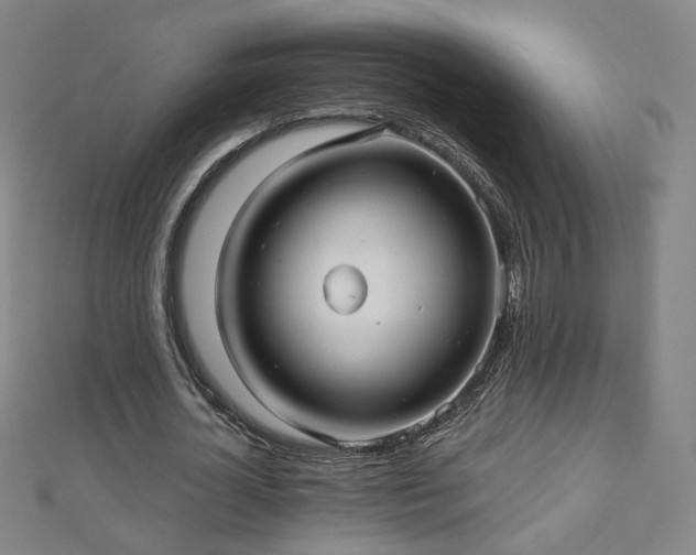 X0000112480724200908171219