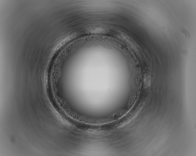 X0000112480725200908171219