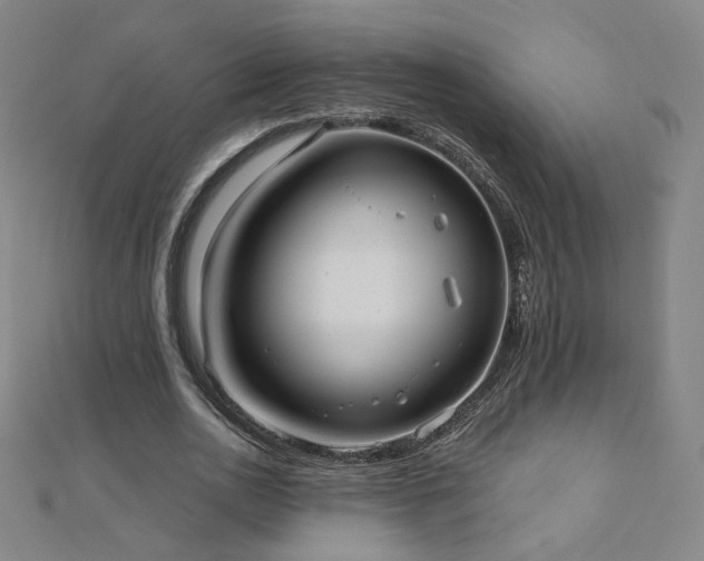 X0000112480726200908171219