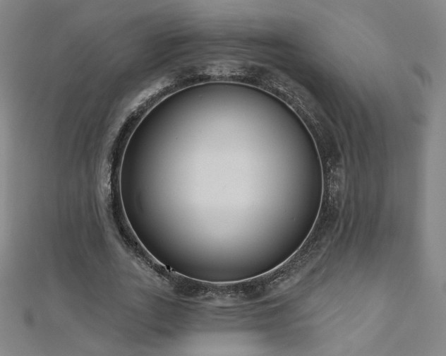 X0000112480727200908171219