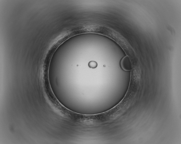 X0000112480730200908171219