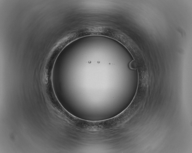X0000112480731200908171219