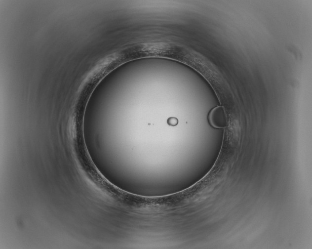 X0000112480734200908171219