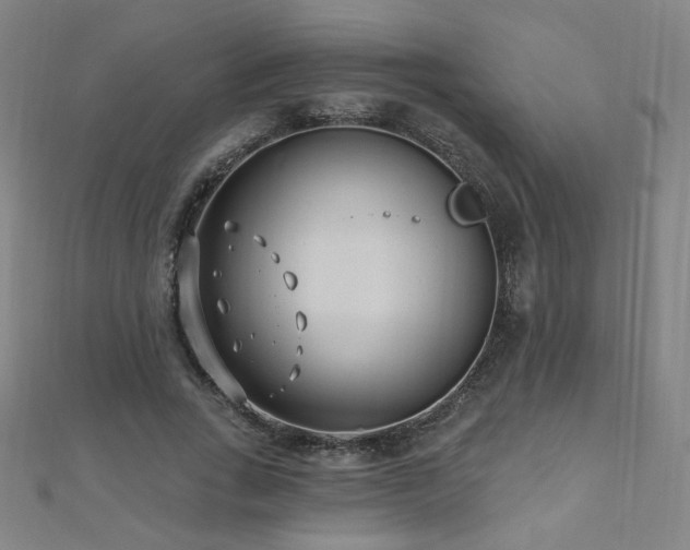 X0000112480735200908171219
