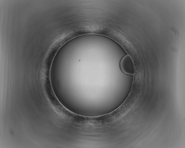 X0000112480736200908171219