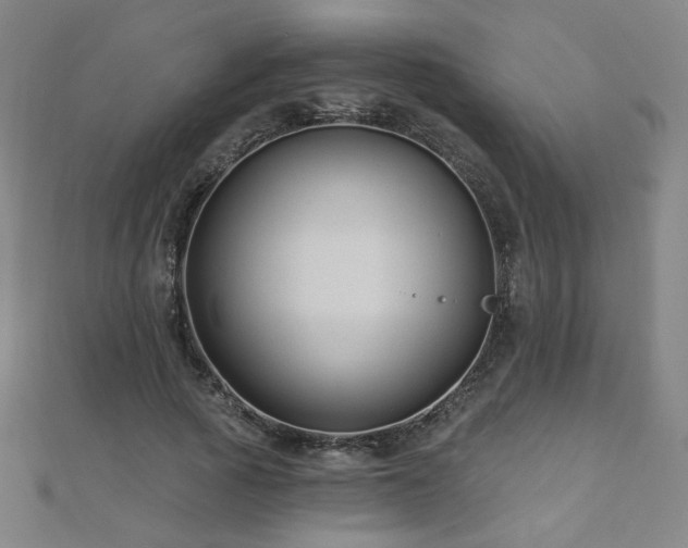 X0000112480737200908171219