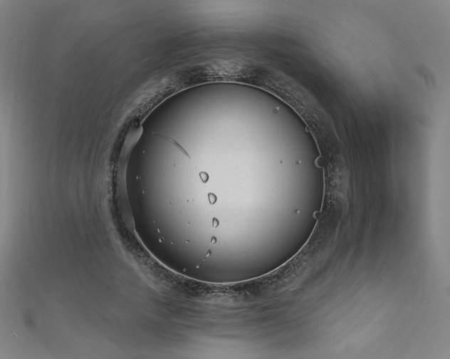 X0000112480738200908171219