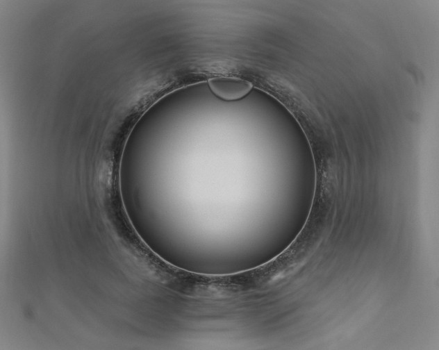 X0000112480739200908171219