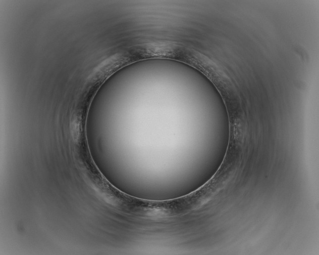 X0000112480741200908171219