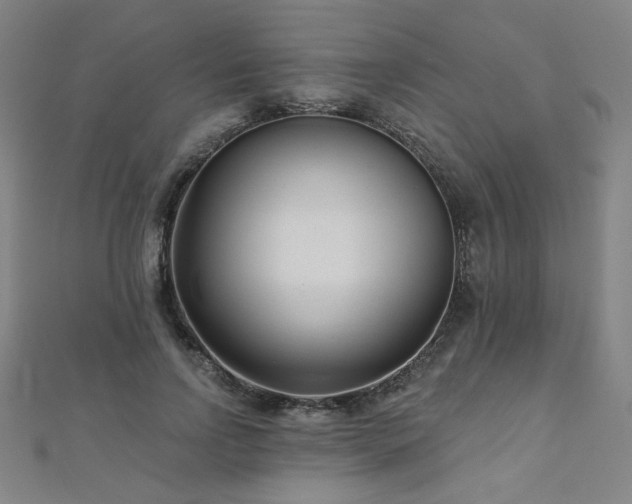 X0000112480742200908171219