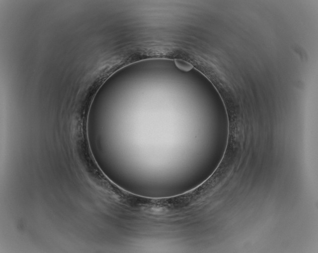 X0000112480743200908171219