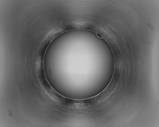 X0000112480744200908171219