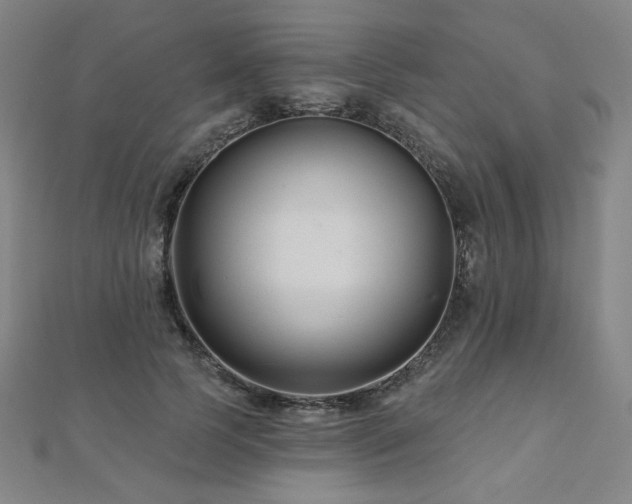 X0000112480745200908171219